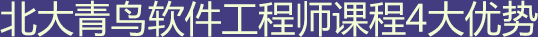 北大青鳥軟件工程師課程4大優(yōu)勢