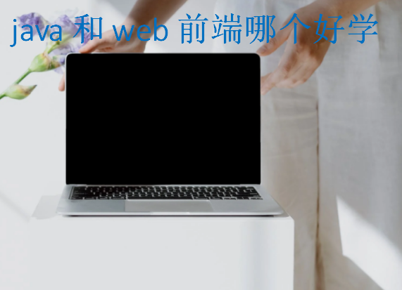 java和web前端哪個(gè)好學(xué)