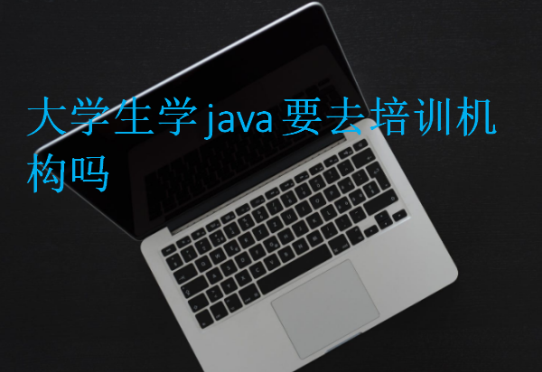 大學(xué)生學(xué)java要去培訓(xùn)機(jī)構(gòu)嗎