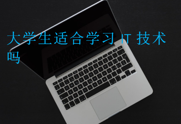 大學(xué)生適合學(xué)習(xí)IT技術(shù)嗎
