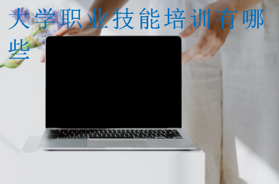 大學職業(yè)技能培訓有哪些