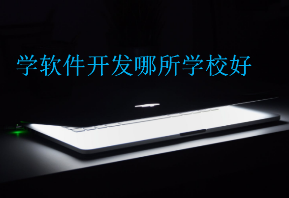 學(xué)軟件開發(fā)哪所學(xué)校好