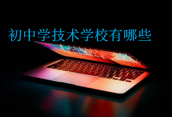 初中學(xué)技術(shù)學(xué)校有哪些