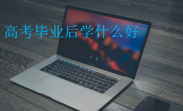 高考畢業(yè)后學什么好