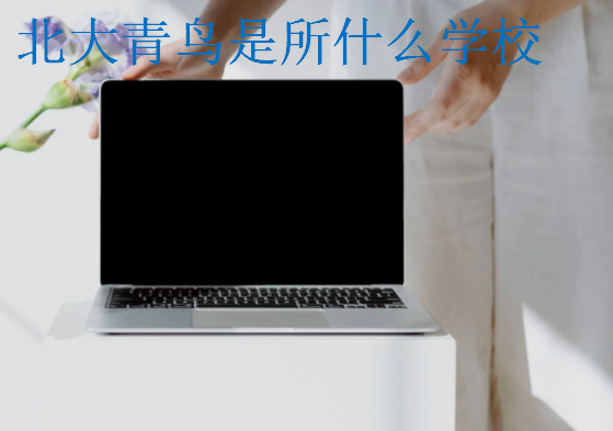 北大青鳥是所什么學(xué)校