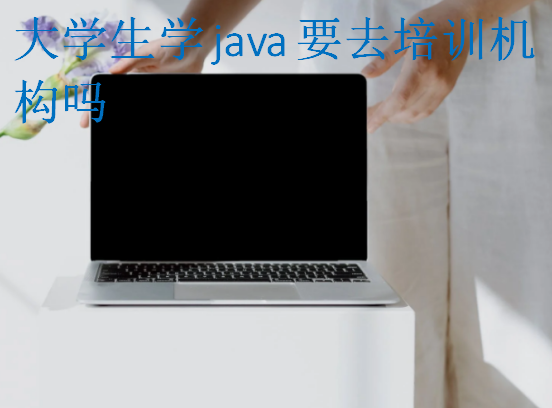 大學生學java要去培訓機構(gòu)嗎