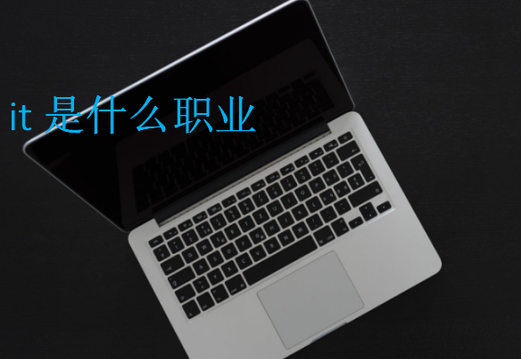 it是什么職業(yè)