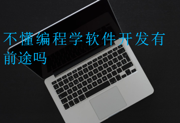 不懂編程學(xué)軟件開(kāi)發(fā)有前途嗎
