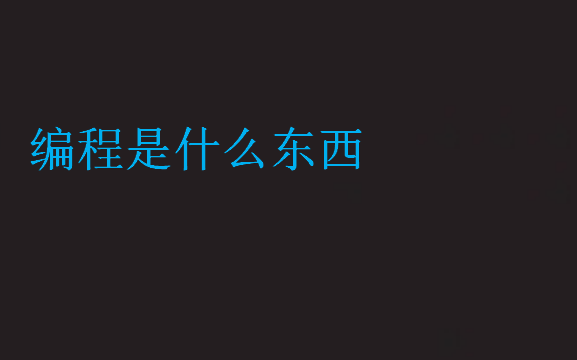 編程是什么東西