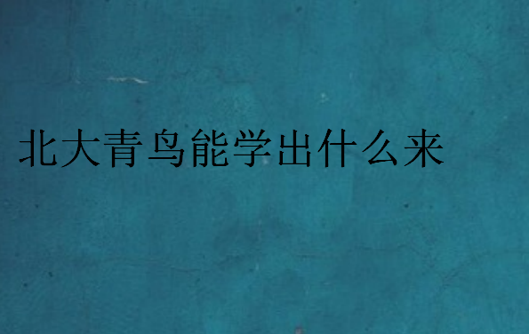 北大青鳥能學(xué)出什么來