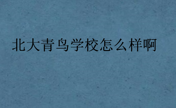 北大青鳥學(xué)校怎么樣啊