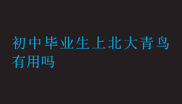 初中畢業(yè)生上北大青鳥有用嗎