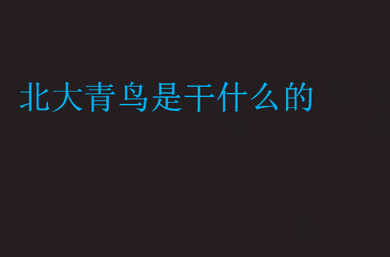 北大青鳥(niǎo)是干什么的