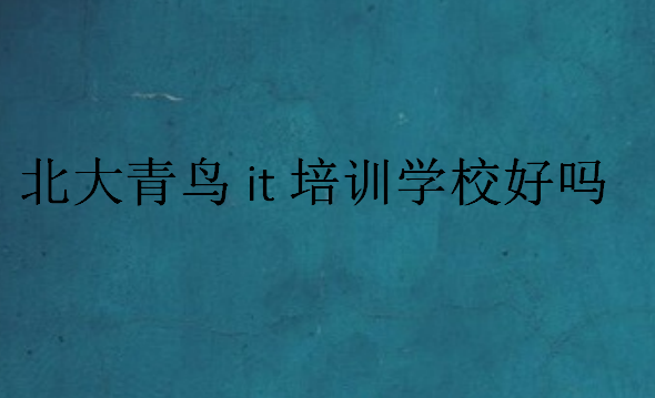 南京 北大青鳥it培訓(xùn)學(xué)校好嗎
