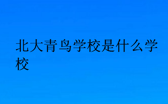 北大青鳥(niǎo)學(xué)校是什么學(xué)校