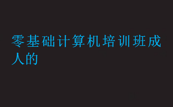 零基礎(chǔ)計(jì)算機(jī)培訓(xùn)班成人的