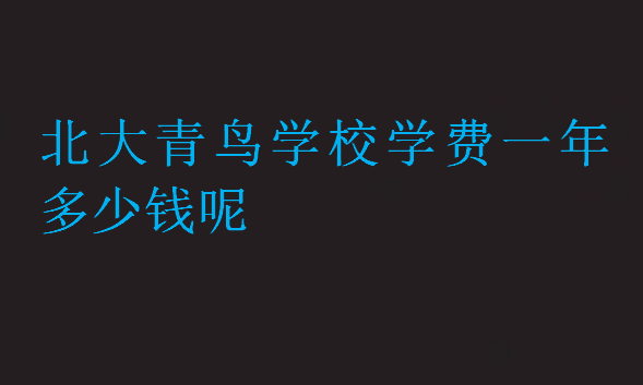 北大青鳥(niǎo)學(xué)校學(xué)費(fèi)一年多少錢(qián)呢