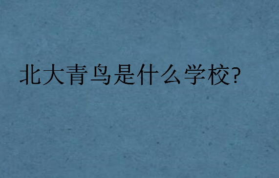 北大青鳥是什么學校