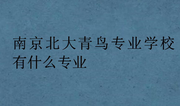 南京北大青鳥(niǎo)專業(yè)學(xué)校有什么專業(yè)