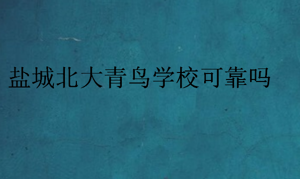 鹽城北大青鳥(niǎo)學(xué)校可靠嗎