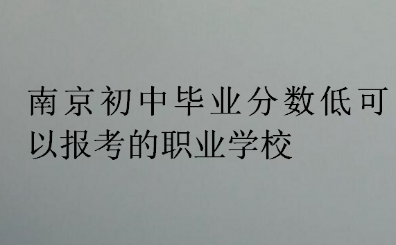 南京初中畢業(yè)分?jǐn)?shù)低可以報(bào)考的職業(yè)學(xué)校