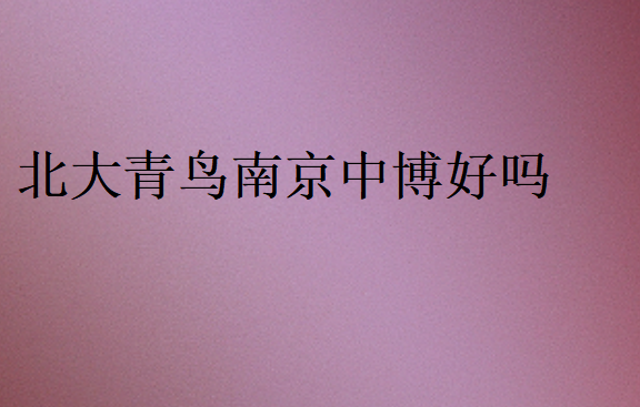 北大青鳥南京中博好嗎