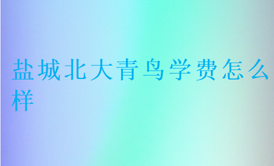 鹽城北大青鳥學(xué)費(fèi)怎么樣