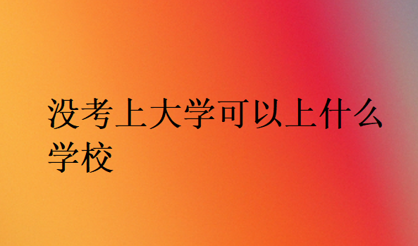 沒(méi)考上大學(xué)可以上什么學(xué)校