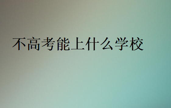 不高考能上什么學(xué)校