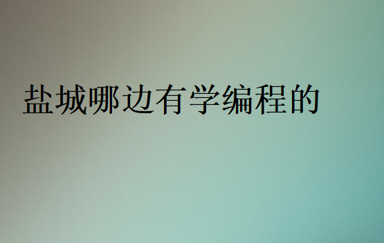 鹽城哪邊有學(xué)編程的