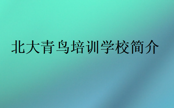 北大青鳥培訓(xùn)學(xué)校簡介