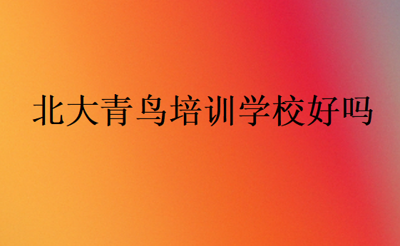 北大青鳥培訓(xùn)學(xué)校好嗎