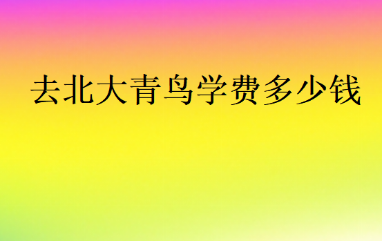 去北大青鳥學(xué)費多少錢