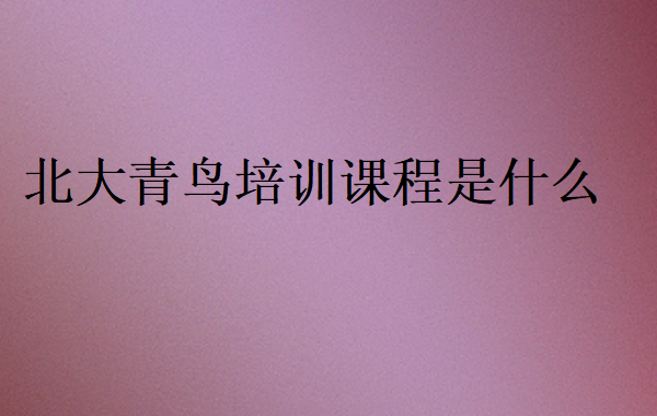 北大青鳥培訓(xùn)課程是什么