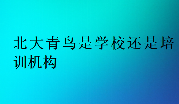北大青鳥(niǎo)是學(xué)校還是培訓(xùn)機(jī)構(gòu)