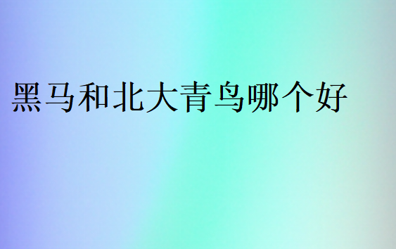 黑馬和北大青鳥哪個好