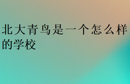 北大青鳥是一個(gè)怎么樣的學(xué)校