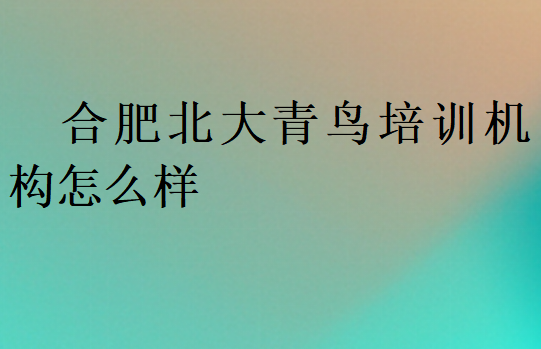 合肥北大青鳥培訓(xùn)機(jī)構(gòu)怎么樣