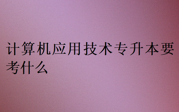 計算機(jī)應(yīng)用技術(shù)專升本要考什么