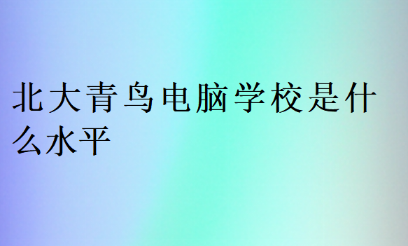 北大青鳥(niǎo)電腦學(xué)校是什么水平