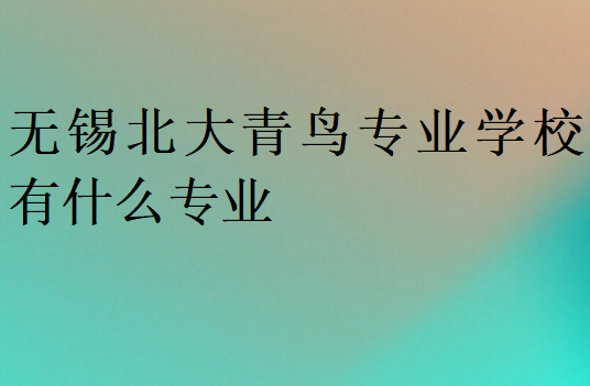 無錫北大青鳥專業(yè)學(xué)校有什么專業(yè)