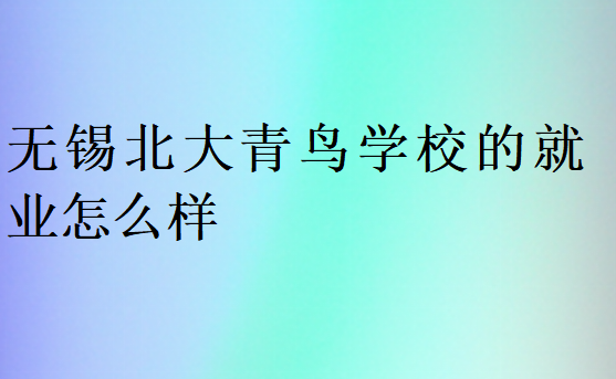 無(wú)錫北大青鳥(niǎo)學(xué)校的就業(yè)怎么樣