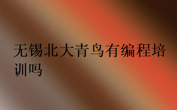 無錫北大青鳥有編程培訓(xùn)嗎