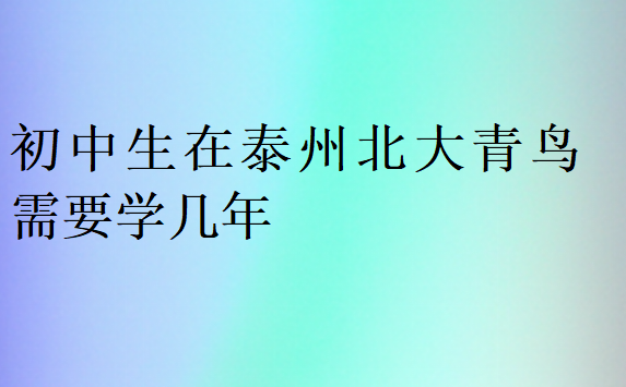 初中生在泰州北大青鳥需要學幾年