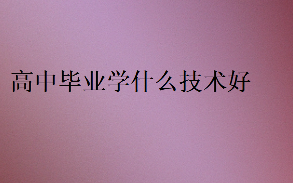 高中畢業(yè)學什么技術好