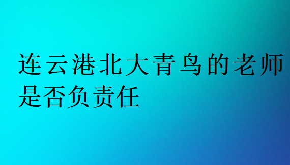 連云港北大青鳥的老師是否負責任