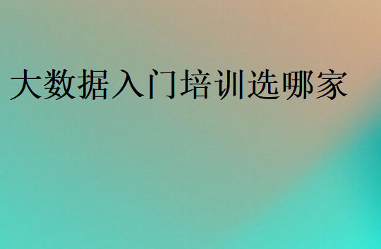 大數(shù)據(jù)入門培訓(xùn)選哪家