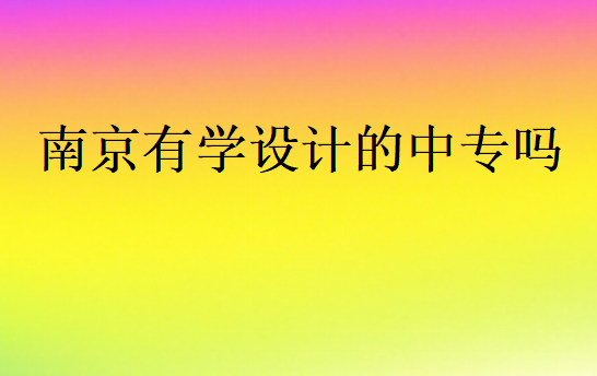 南京有學設計的中專嗎