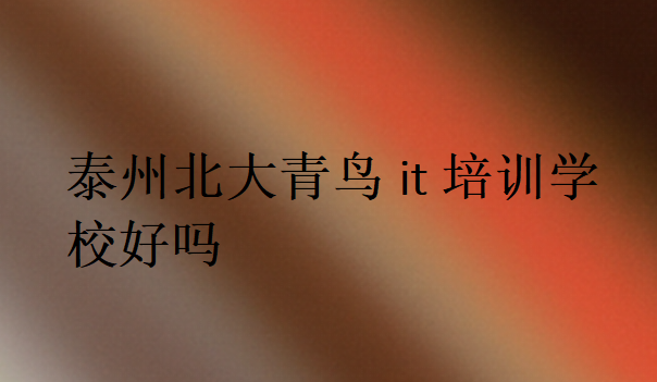 泰州北大青鳥it培訓(xùn)學(xué)校好嗎