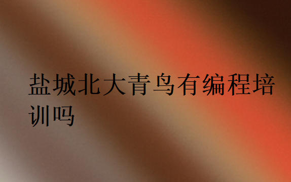 鹽城北大青鳥有編程培訓(xùn)嗎